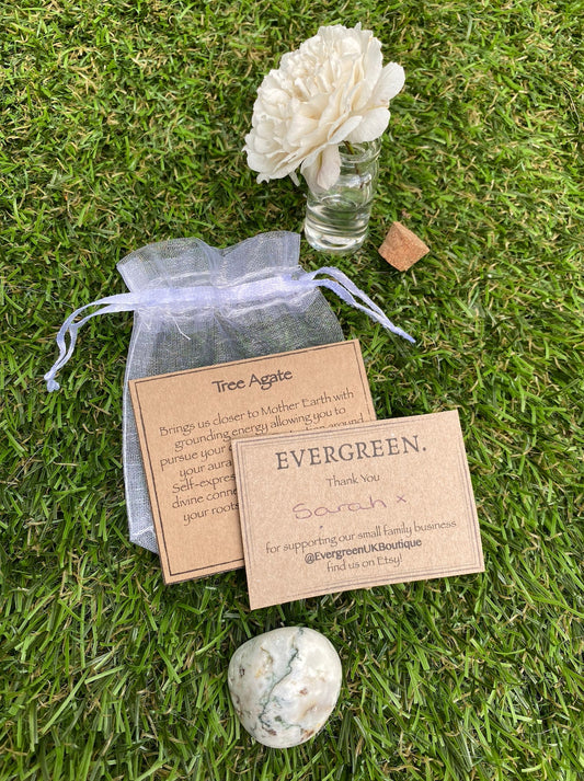 Tree Agate Crystal Tumbled Stone -Grounding, Energy, Protection