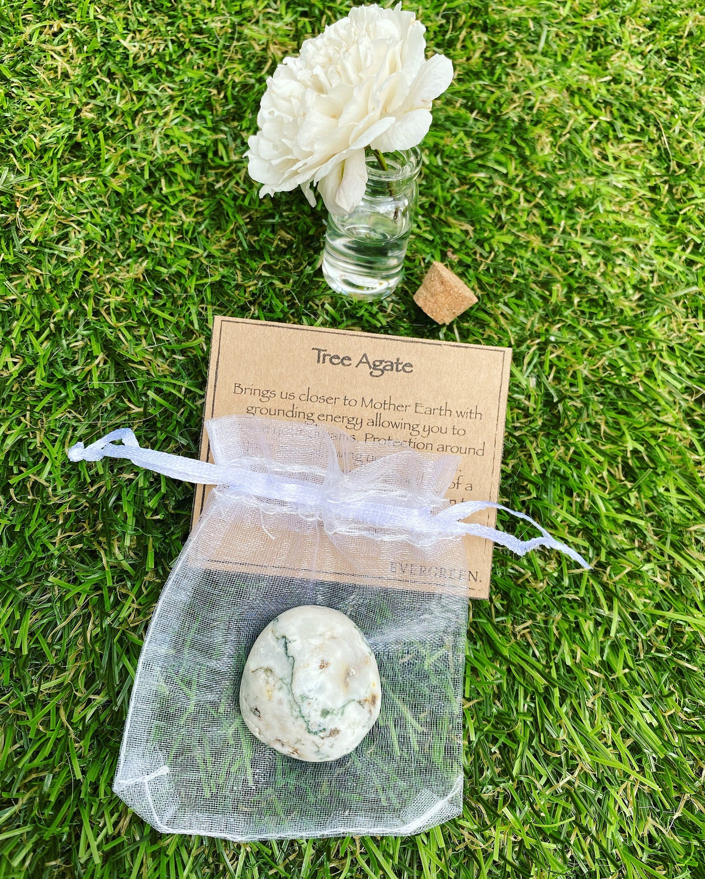 Tree Agate Crystal Tumbled Stone -Grounding, Energy, Protection