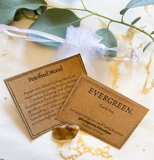 Petrified Wood Crystal Tumbled Stone - Balance, Transformation & Security