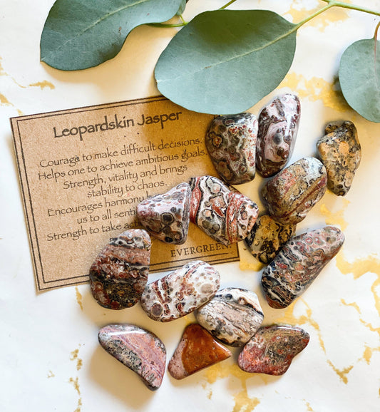 Leopardskin Jasper Crystal Tumbled Stone - Courage, Strength & Stability
