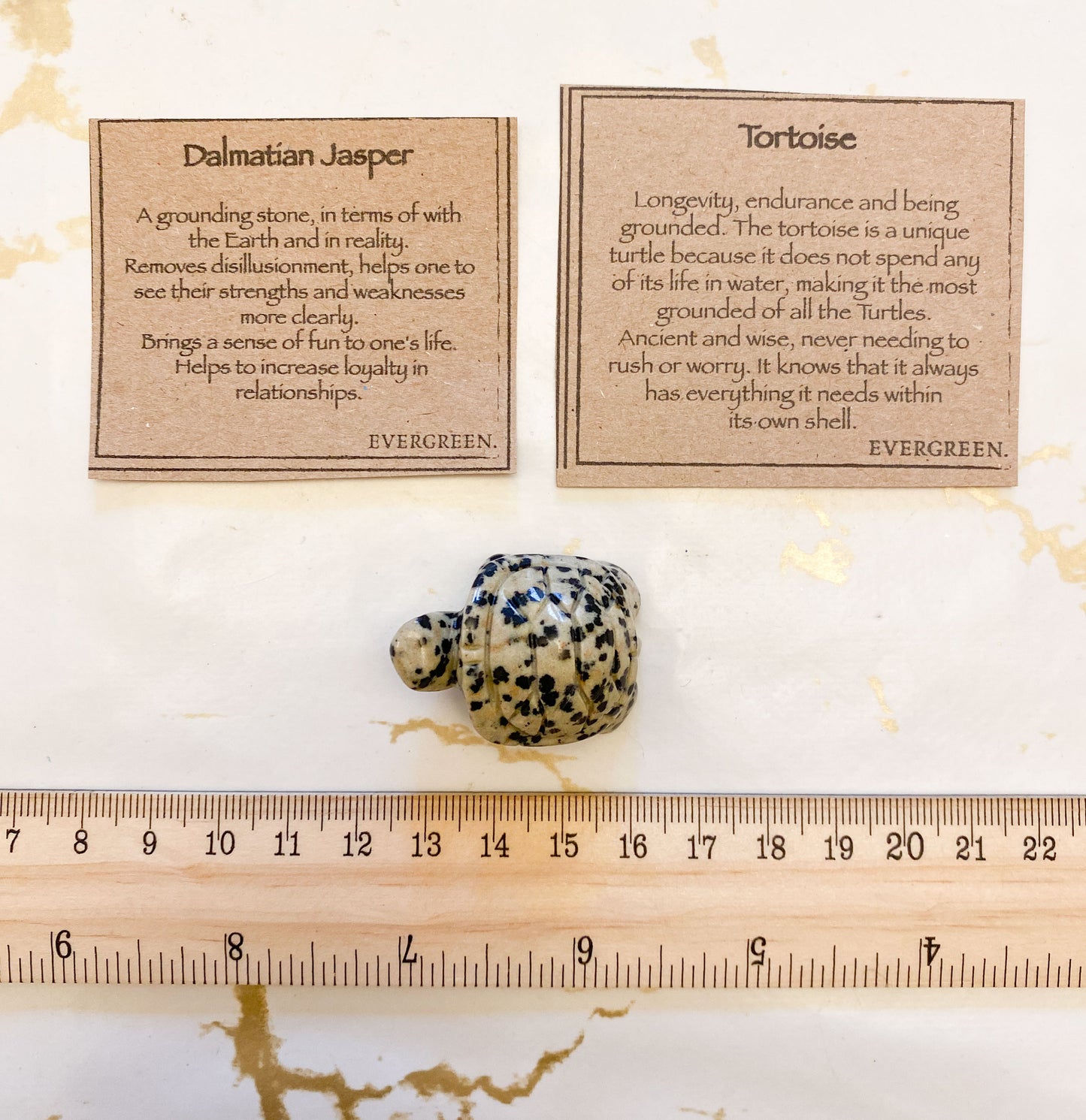 Hand Carved Dalmatian Jasper Crystal Tortoise - Loyalty, Wisdom & Fun