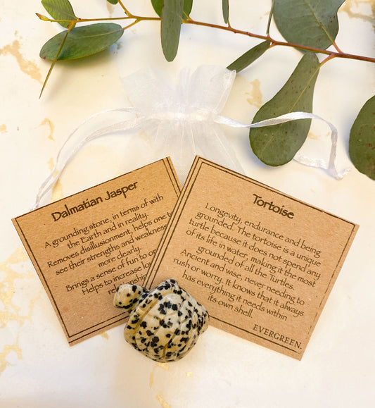 Hand Carved Dalmatian Jasper Crystal Tortoise - Loyalty, Wisdom & Fun