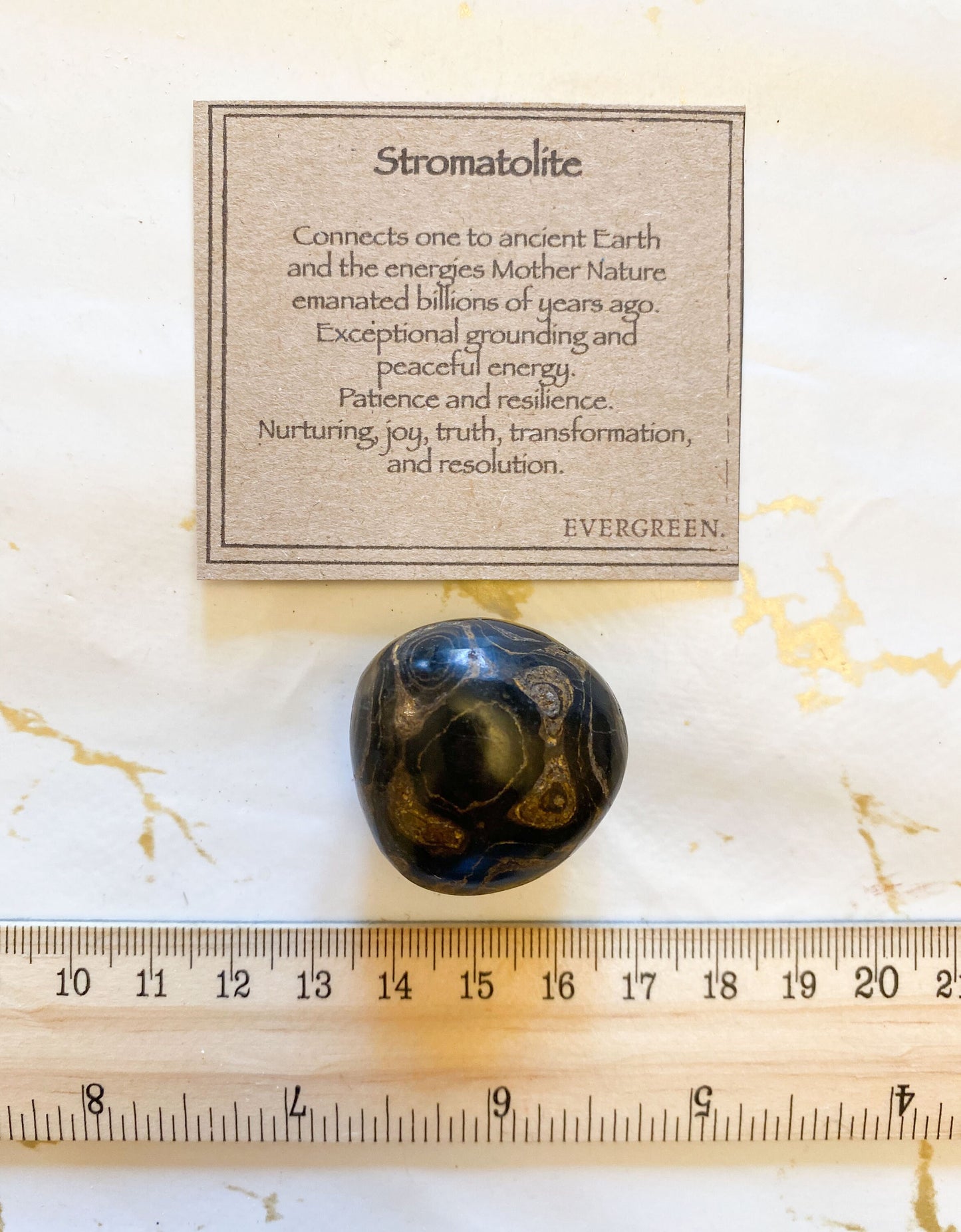 Stromatolite Crystal Tumbled Stone - Patience, Resilience & Transformation