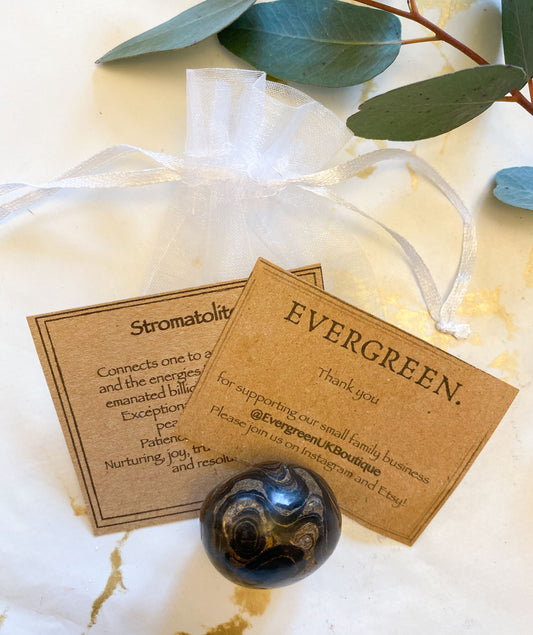 Stromatolite Crystal Tumbled Stone - Patience, Resilience & Transformation