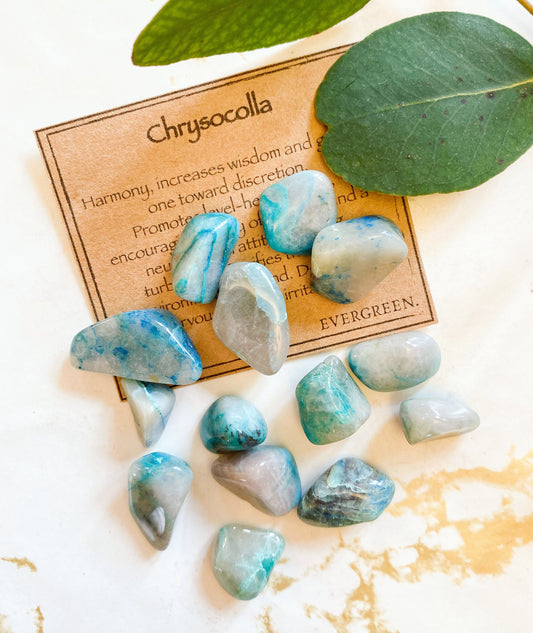 Chrysocolla Crystal Tumbled Stone - Harmony, Wisdom & Clarity