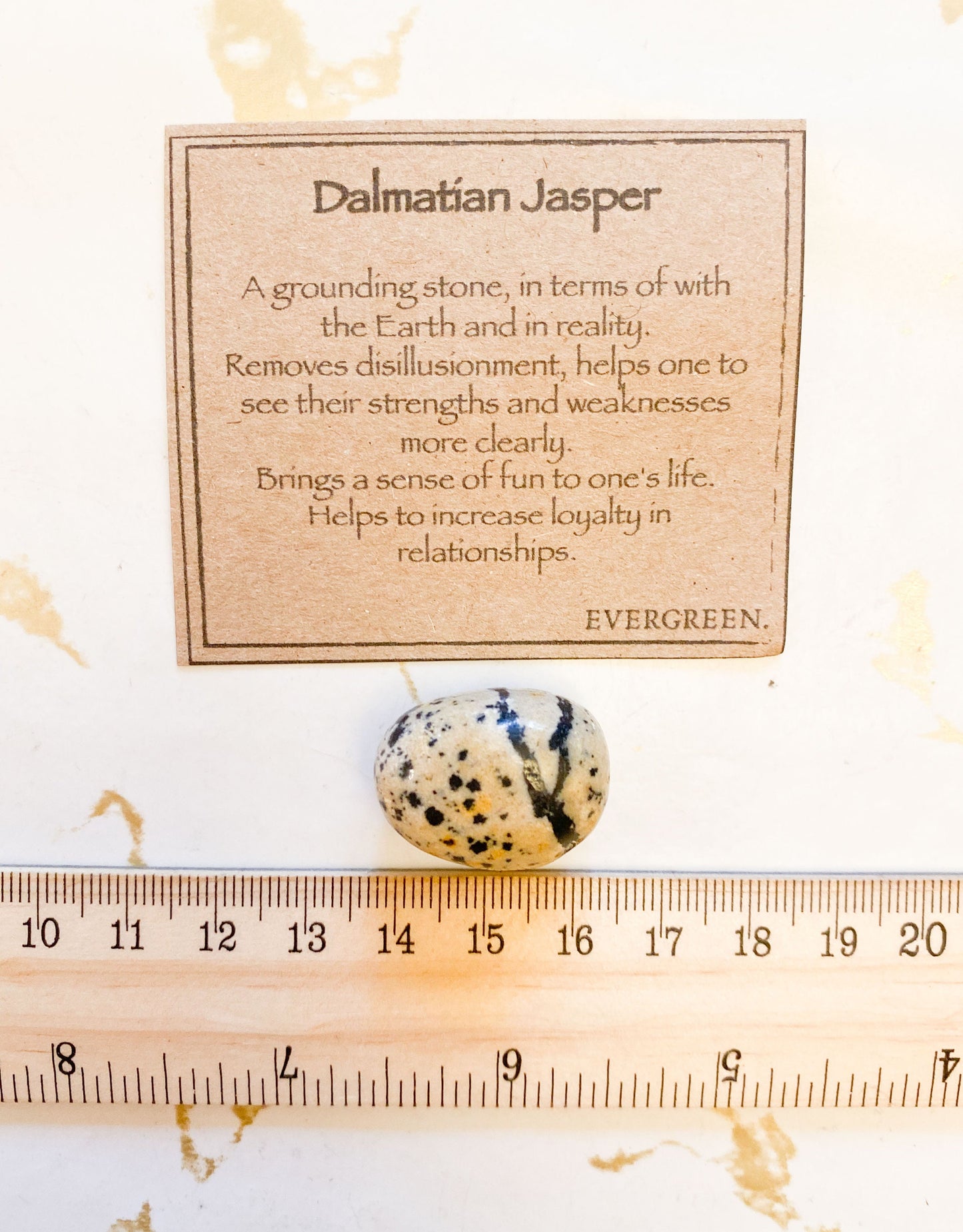 Dalmatian Jasper Crystal Tumbled Stone - Grounding, Fun & Loyalty