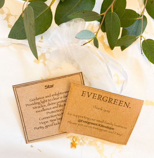 Star Pendant Gold / Silver - Guidance, Excellence & Enlightenment