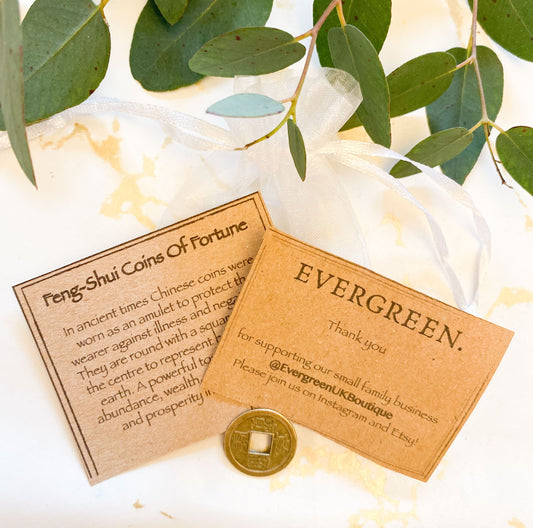 Feng Shui Coin Of Fortune - Protection, Abundance & Wealth