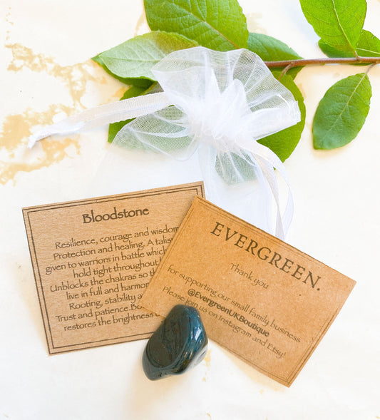 Green Bloodstone Crystal Tumbled Stone - Resilience, Courage & Wisdom