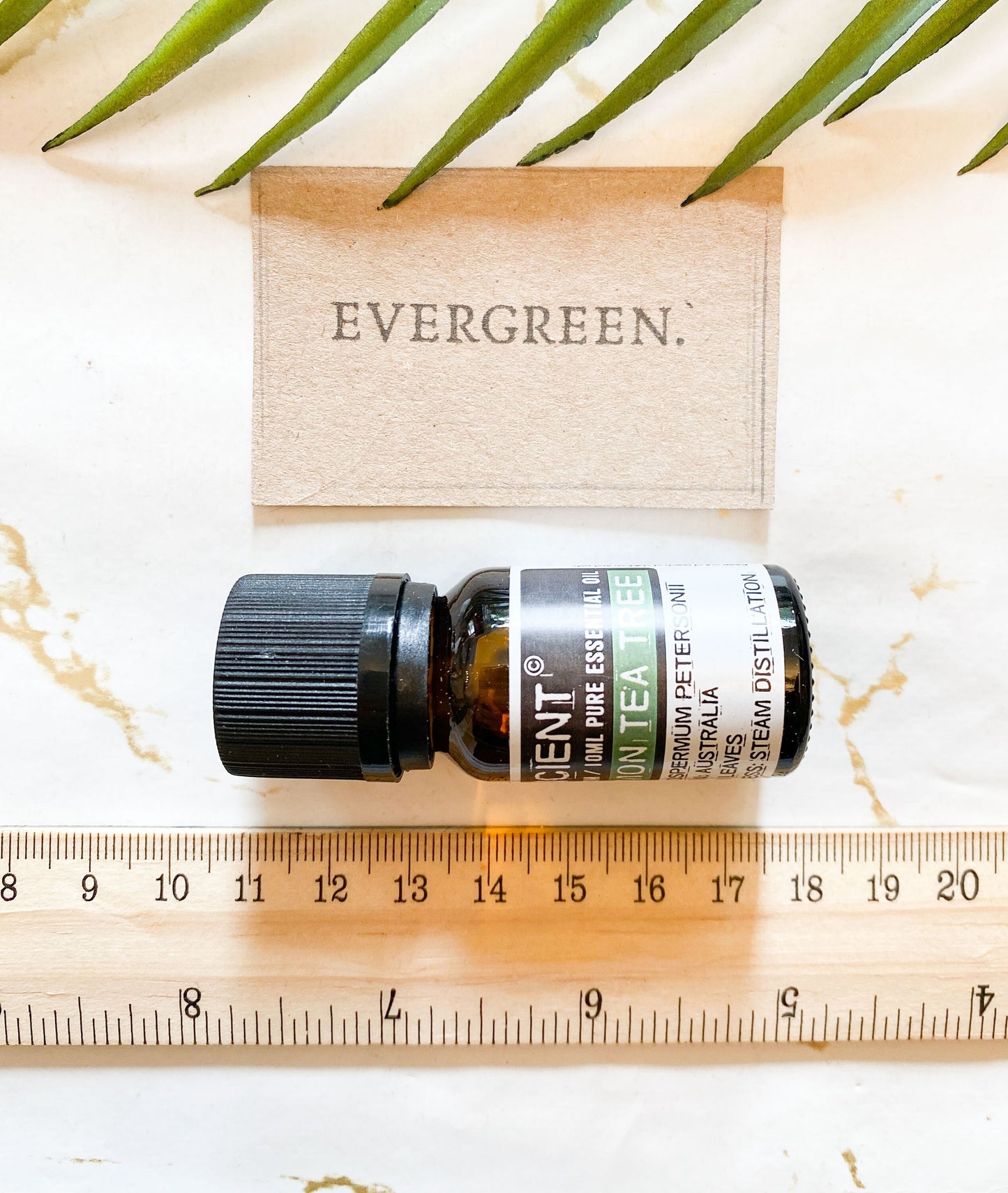 Essential Oils 10ml - Wide Variety Available!