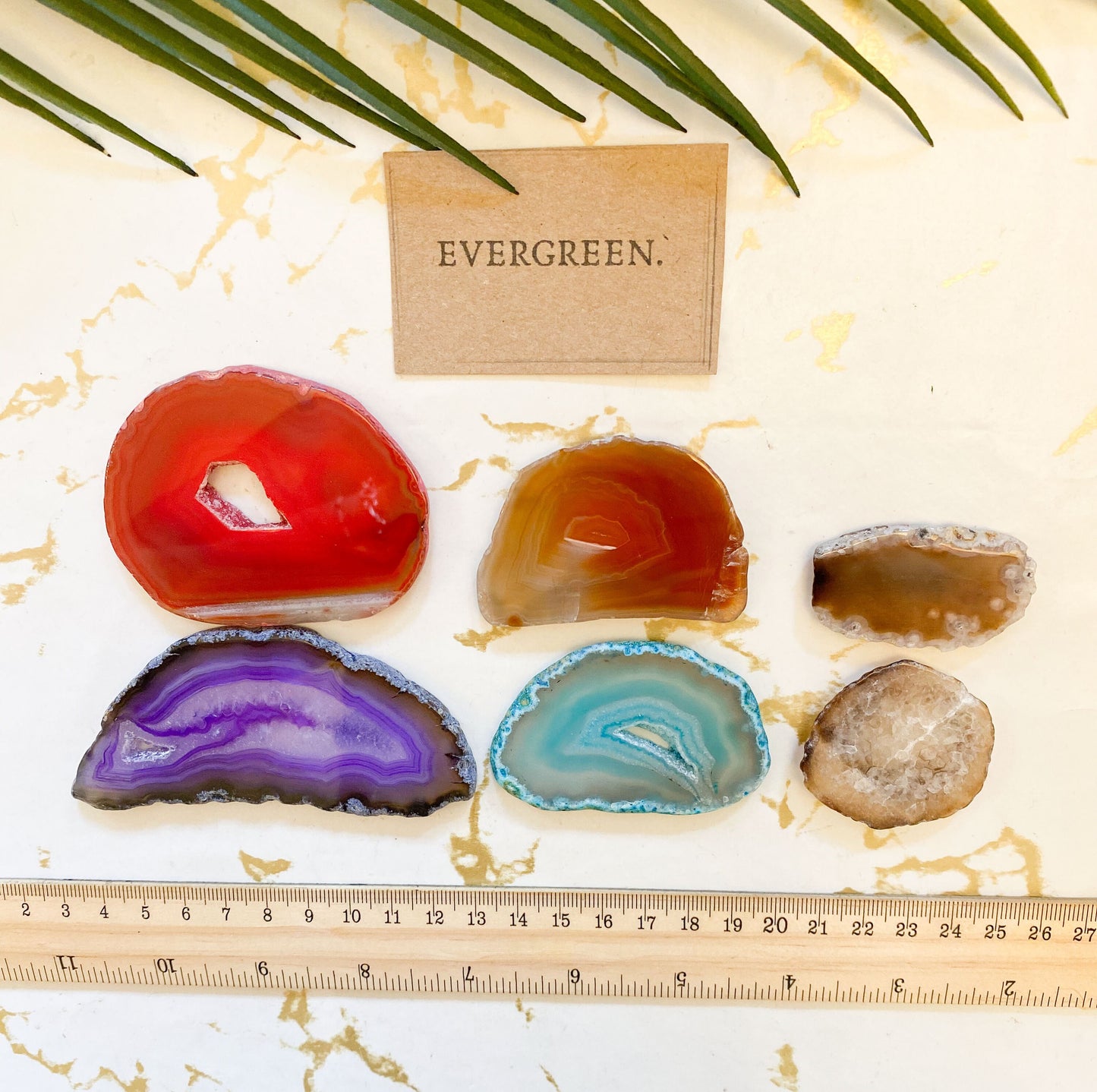 Crystal Agate Slice - Wide Variety Available!