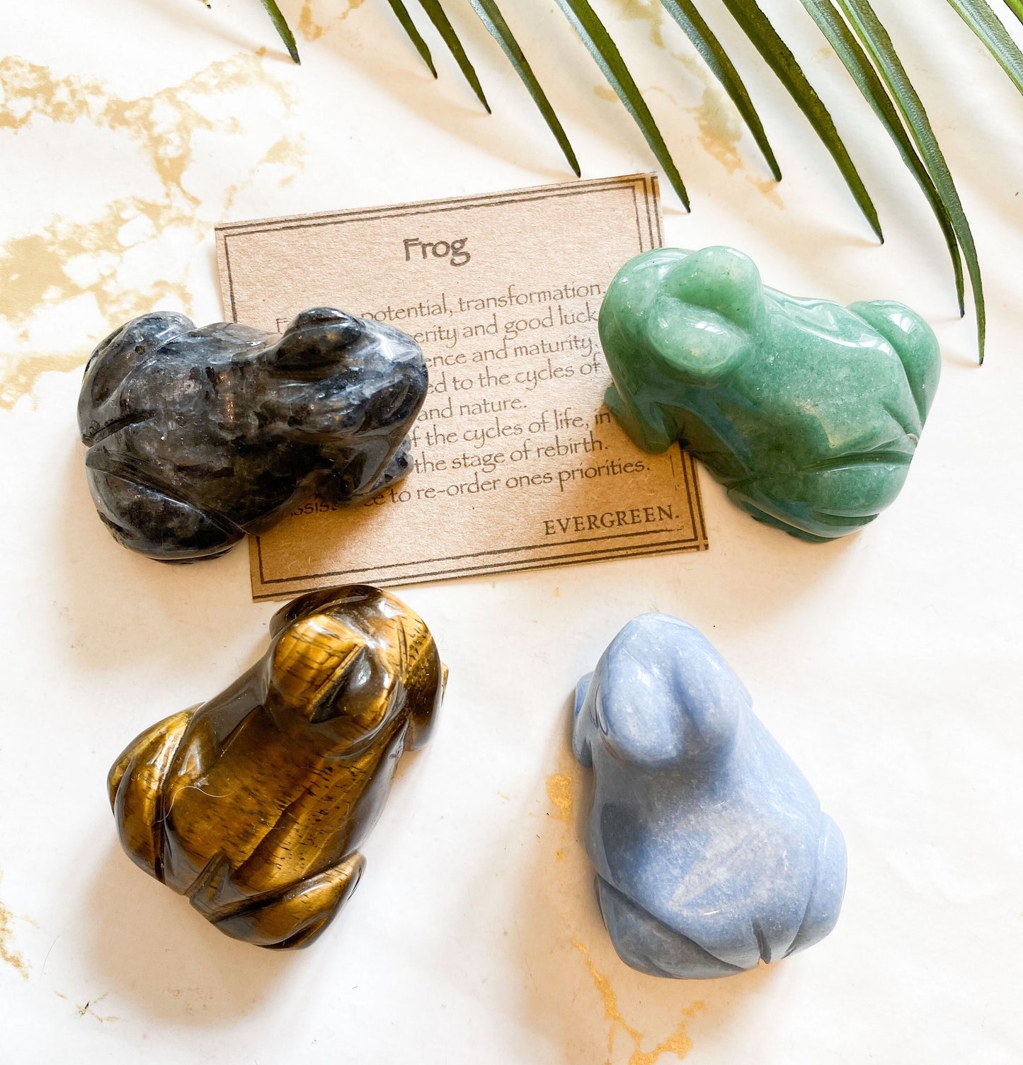 Crystal Frog Carving - Aventurine, Angelite, Gold Tiger Eye, Larvikite