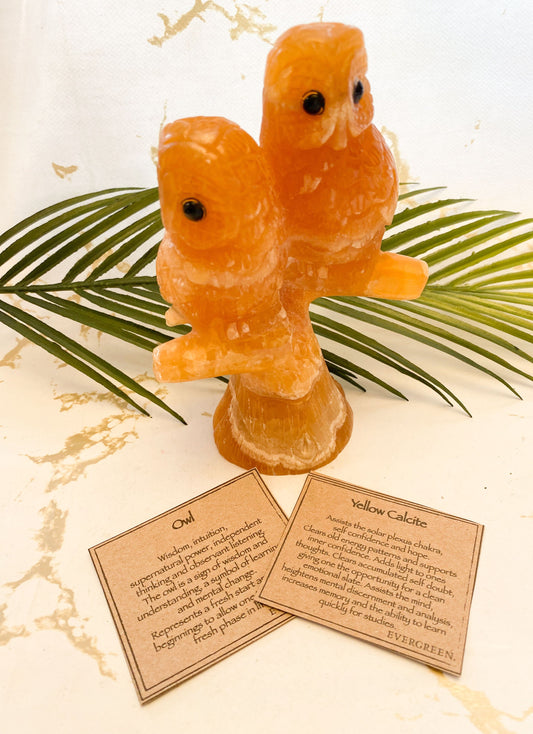 Yellow Calcite Crystal Owl Carving - Wisdom, Power & New Beginnings