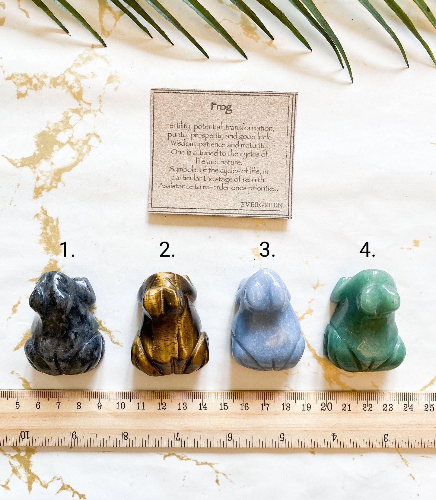 Crystal Frog Carving - Aventurine, Angelite, Gold Tiger Eye, Larvikite