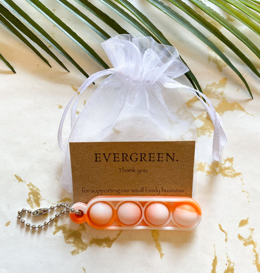 Pop Fidget Silicone Bubble Sensory Toy Keychain - Wide Variety Available!