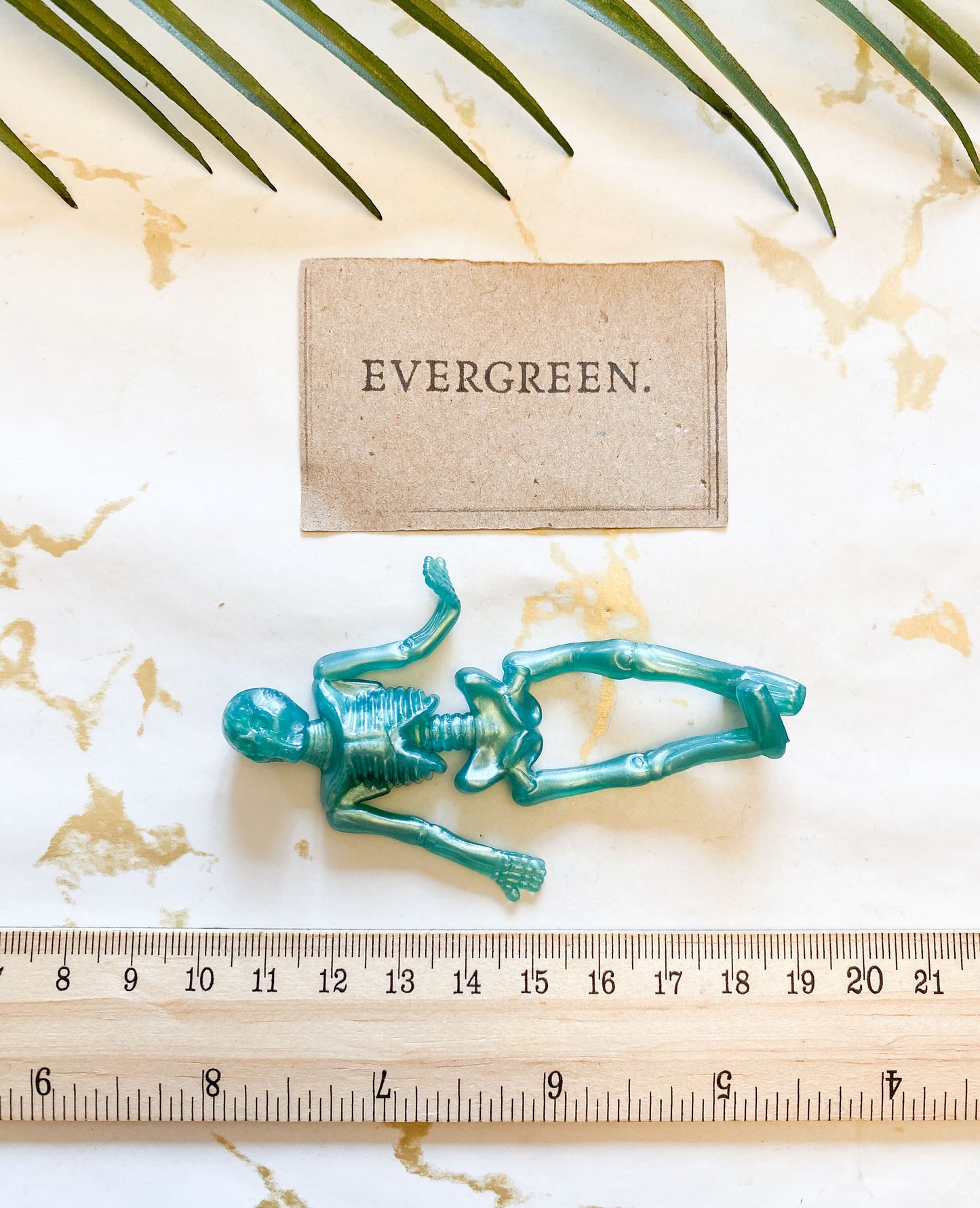 Stretchy Spooky Halloween Skeleton - Wide Variety Available!