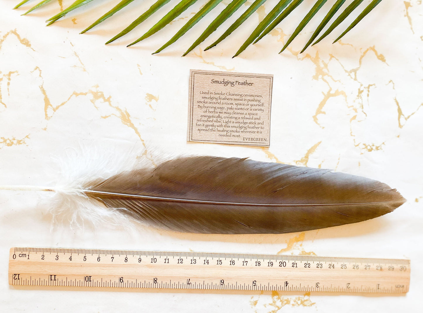 Eagle Feather / Vegan Friendly Faux Imitation - Smudging & Cleansing Ceremonies