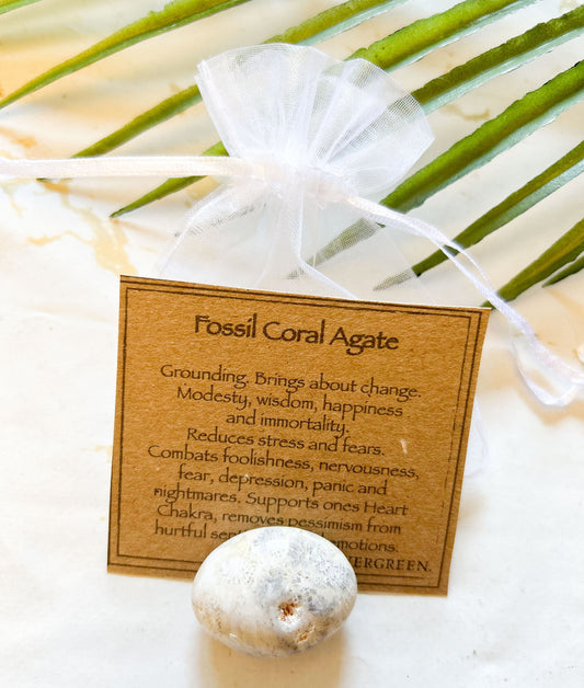 Fossil Coral Agate Crystal Tumbled Stone - Grounding, Change & Wisdom