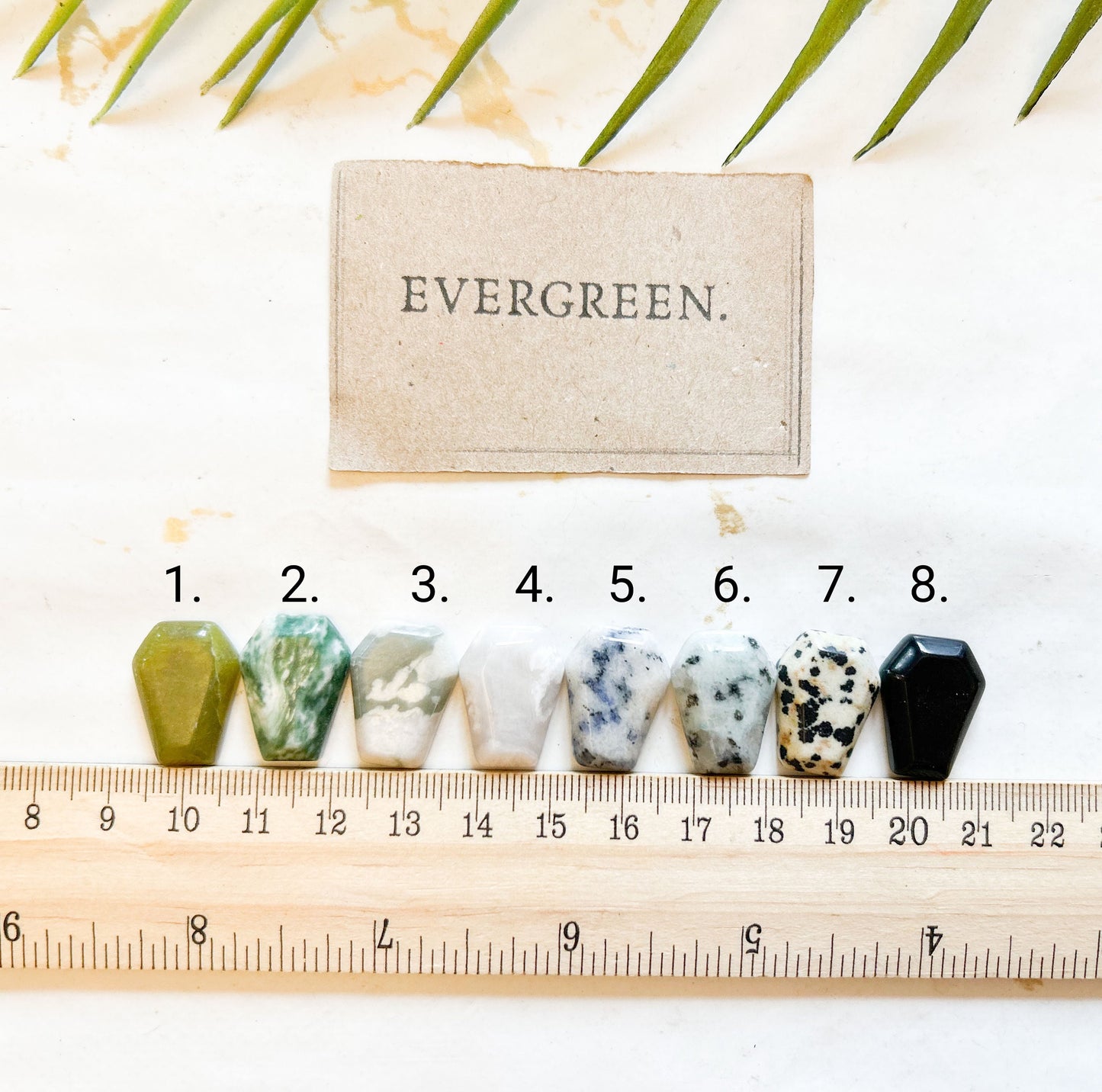 Crystal Coffin - Wide Variety Available!