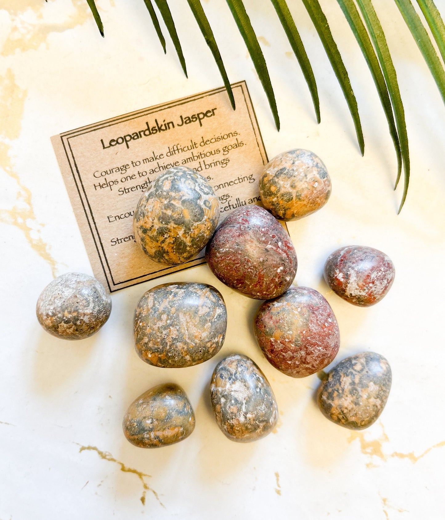 Leopardskin Jasper Crystal Tumbled Stone - Courage, Strength & Stability