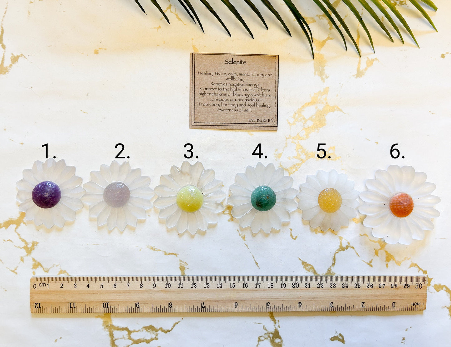 Selenite Crystal Flower - Wide Variety Available!