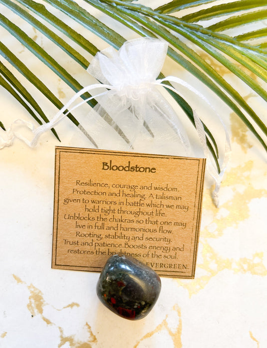 Bloodstone Crystal Tumbled Stone - Resilience, Courage & Wisdom