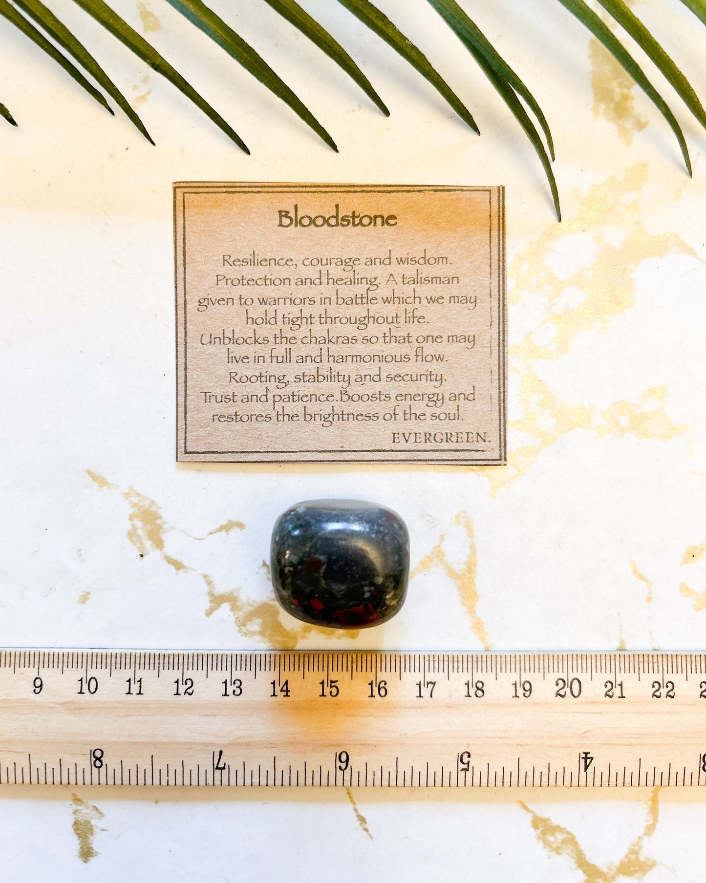 Bloodstone Crystal Tumbled Stone - Resilience, Courage & Wisdom