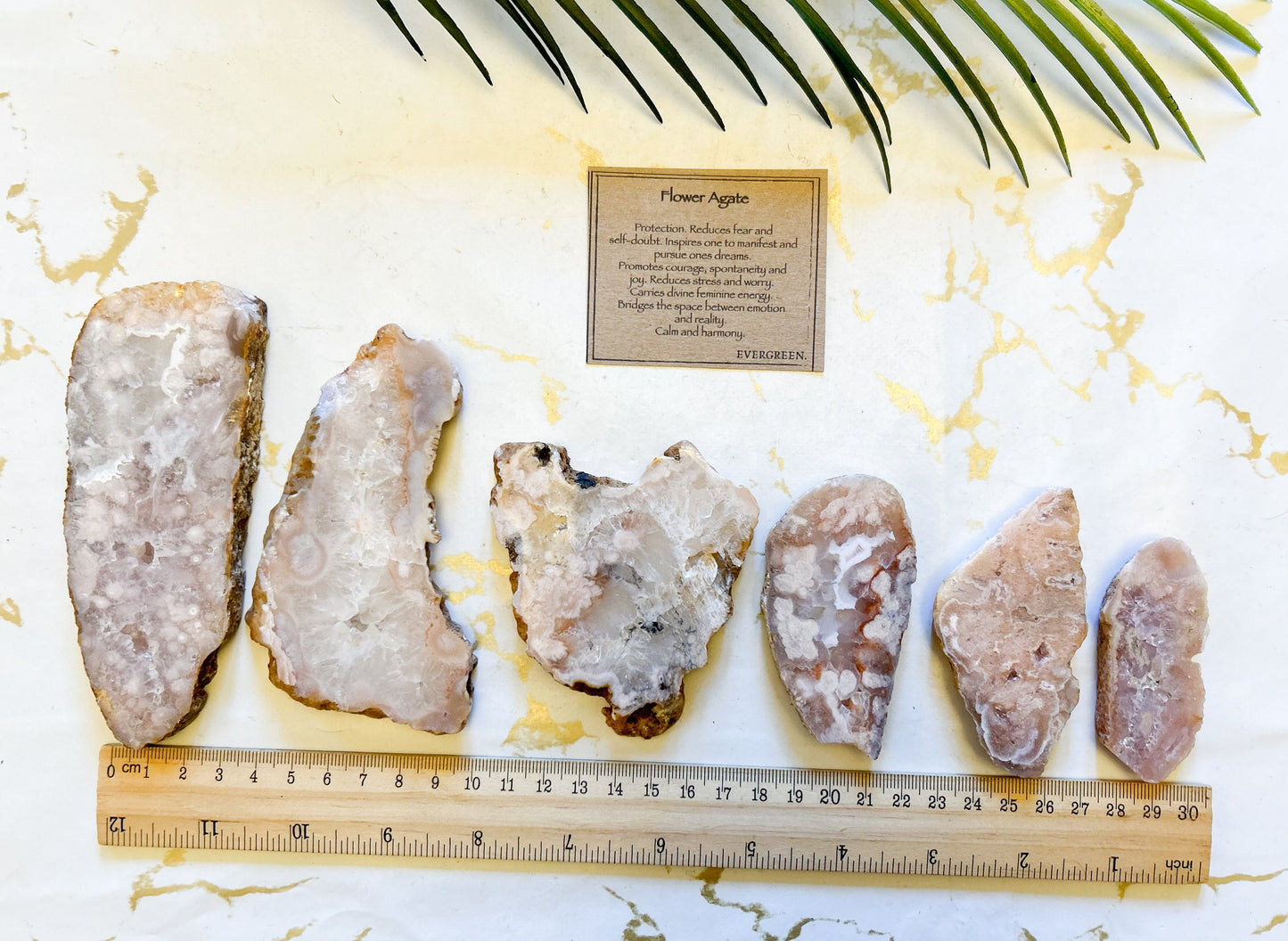 Flower Agate Crystal Slice - Protection, Manifestation & Harmony