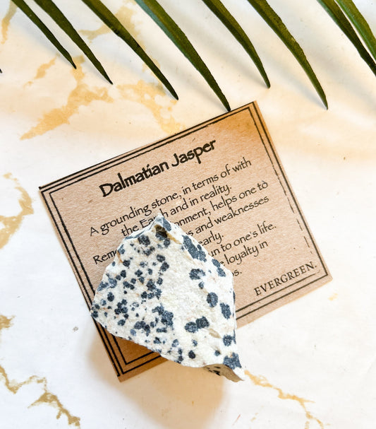 Raw / Rough Dalmatian Jasper Crystal - Grounding, Strength & Loyalty
