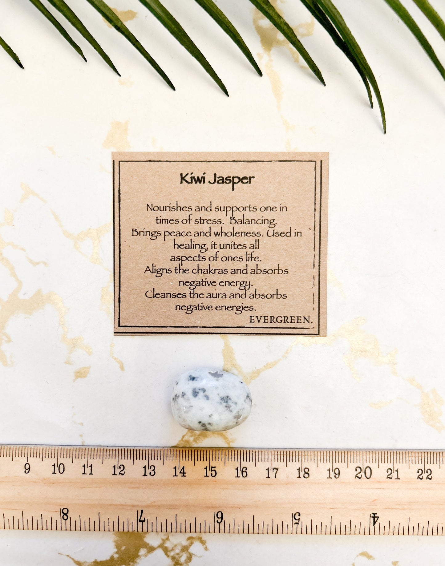 Kiwi Jasper Crystal Tumbled Stone - Peace, Healing & Wholeness