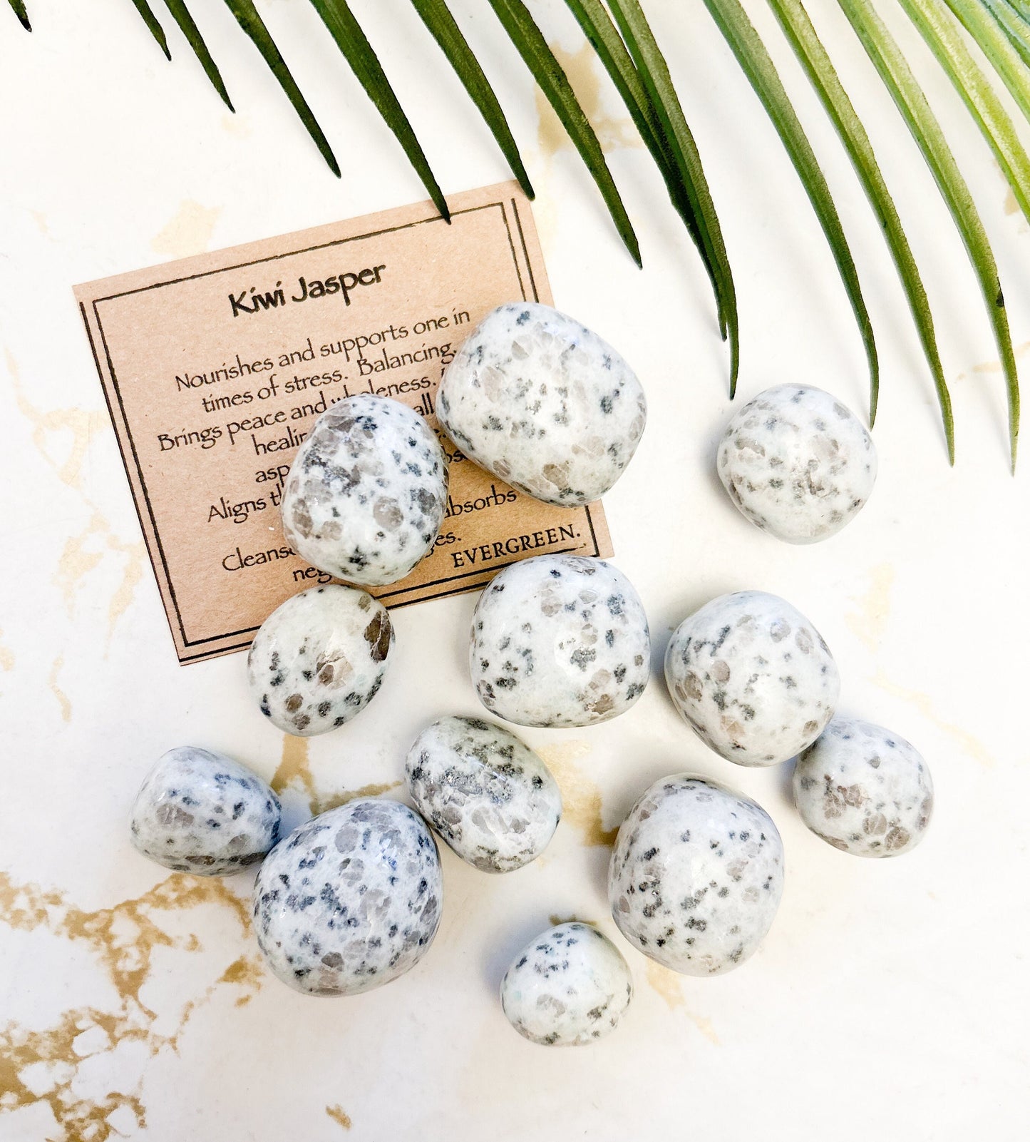 Kiwi Jasper Crystal Tumbled Stone - Peace, Healing & Wholeness