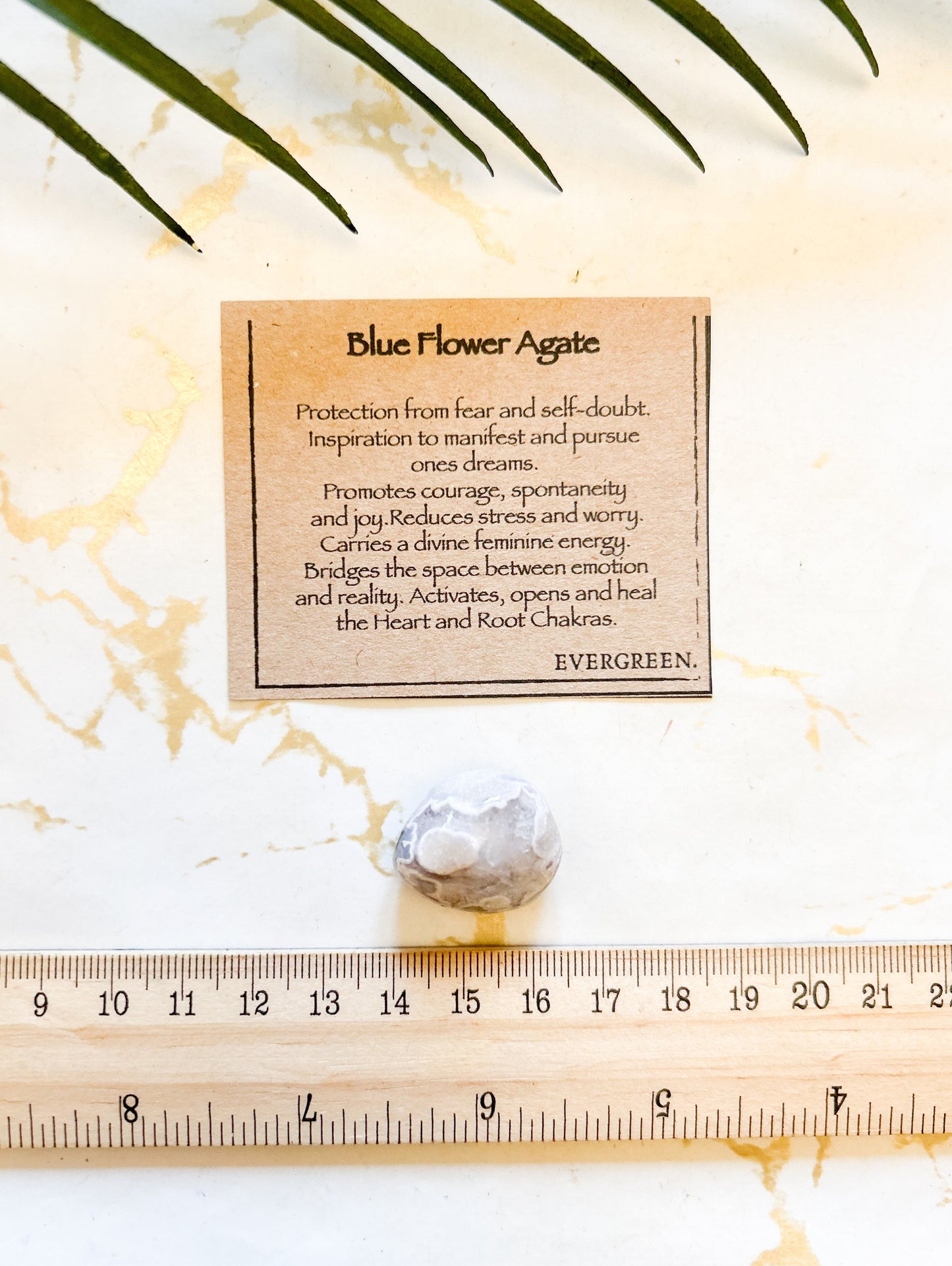 Blue Flower Agate Tumbled Stone - Protection, Inspiration & Manifestation