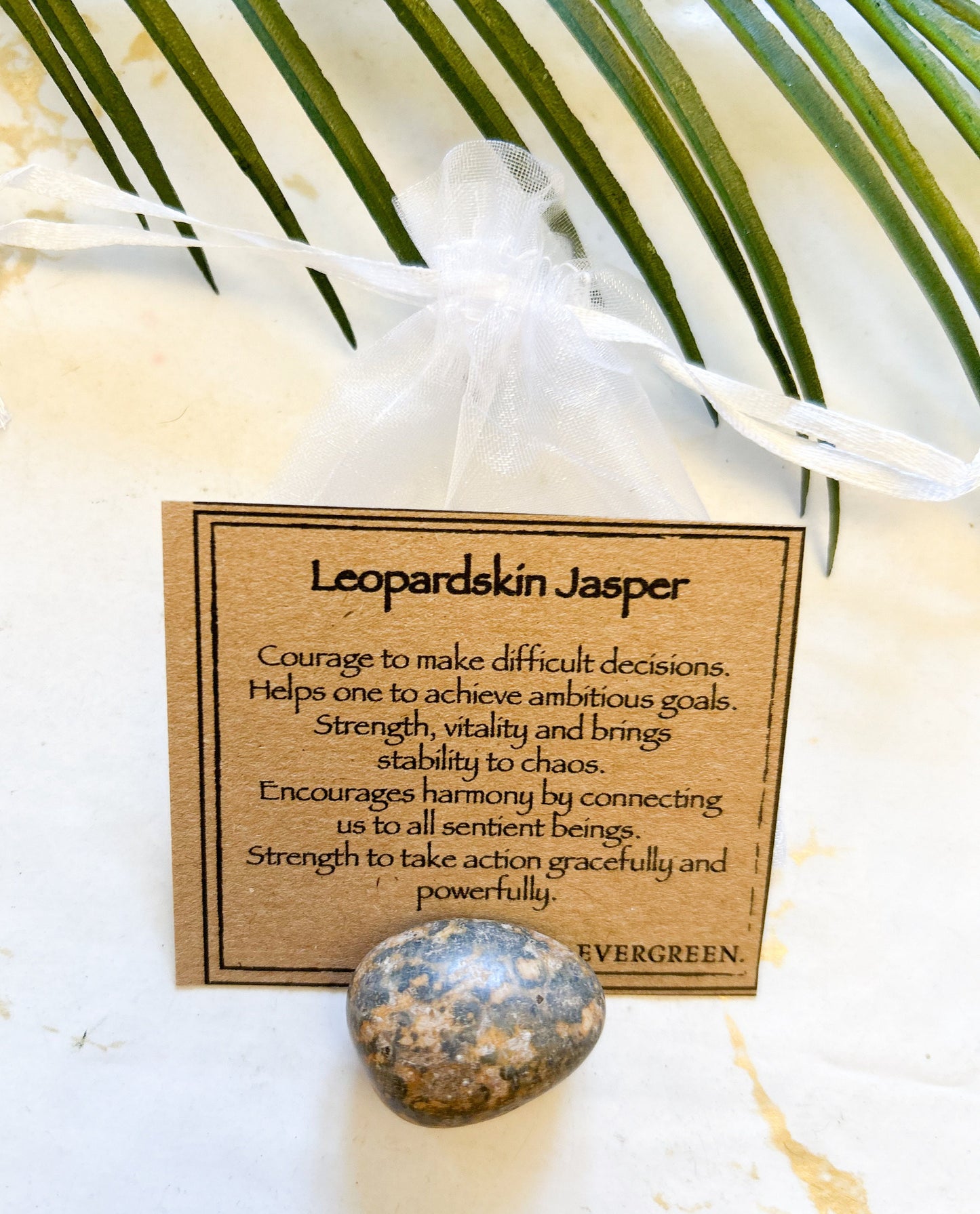 Leopardskin Jasper Crystal Tumbled Stone - Courage, Strength & Stability