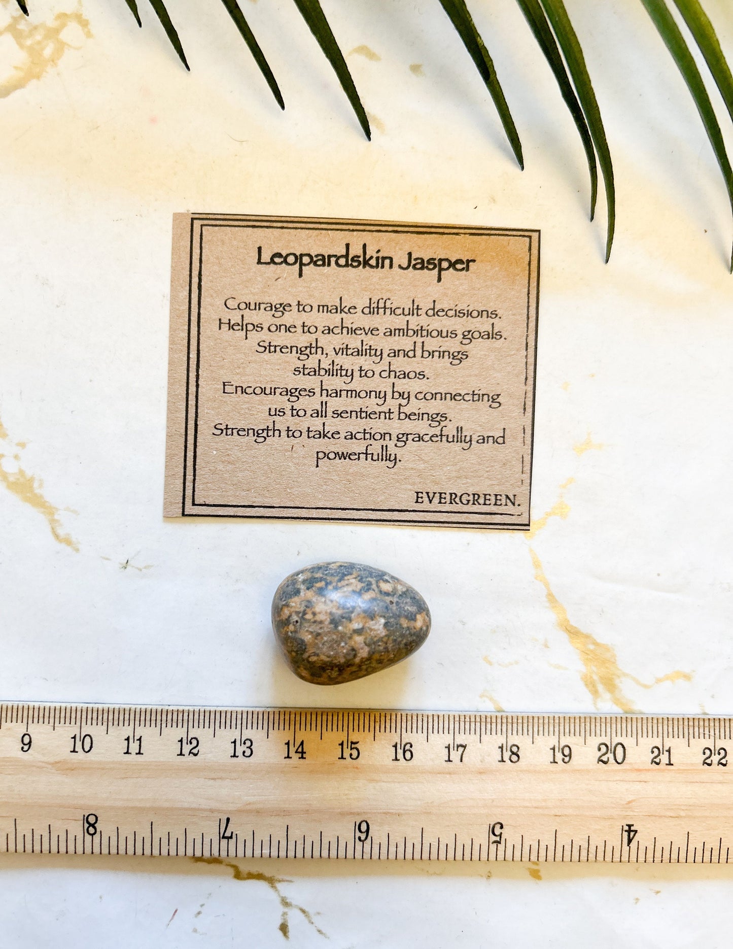 Leopardskin Jasper Crystal Tumbled Stone - Courage, Strength & Stability