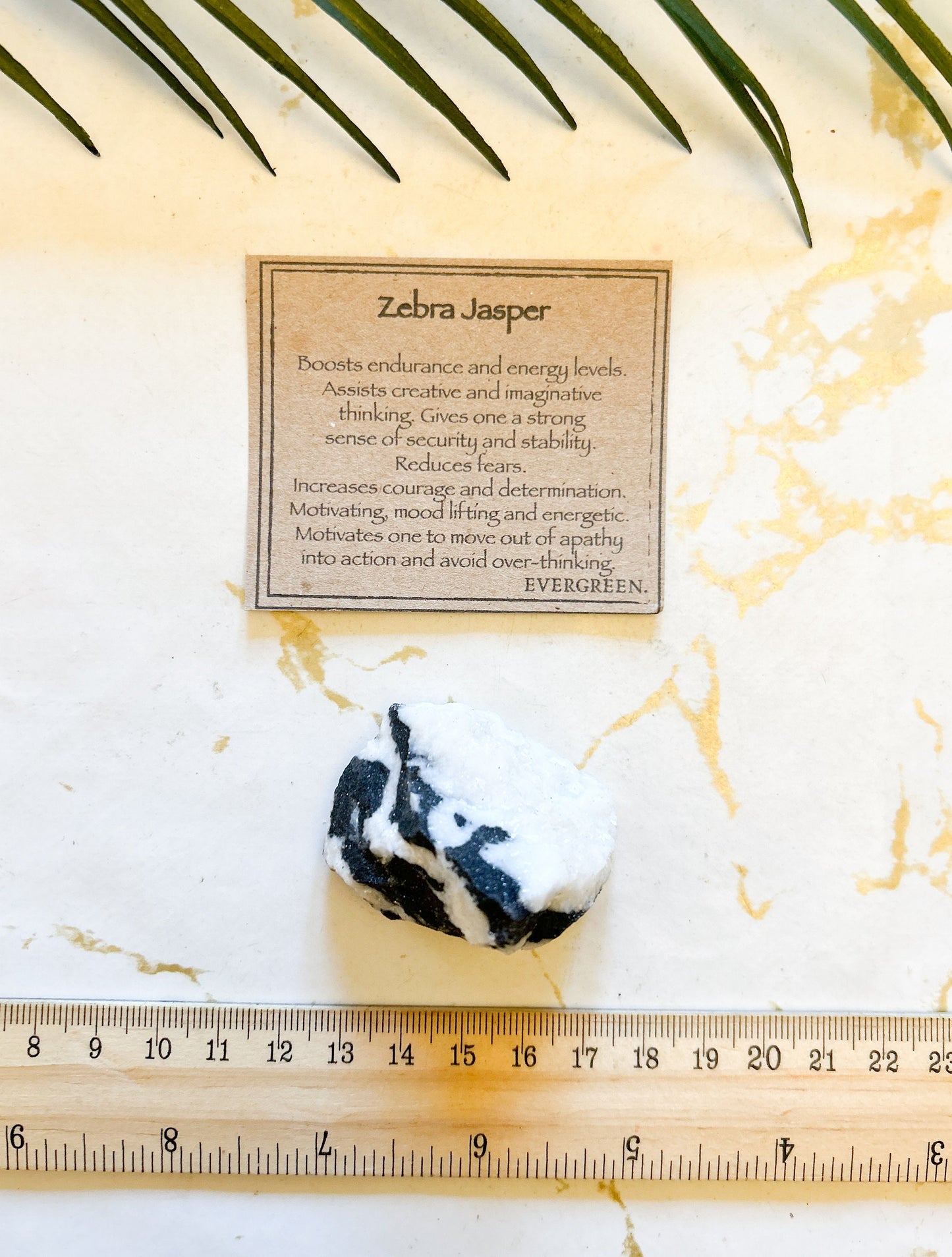 Raw / Rough Zebra Jasper Crystal - Energy, Stability & Courage