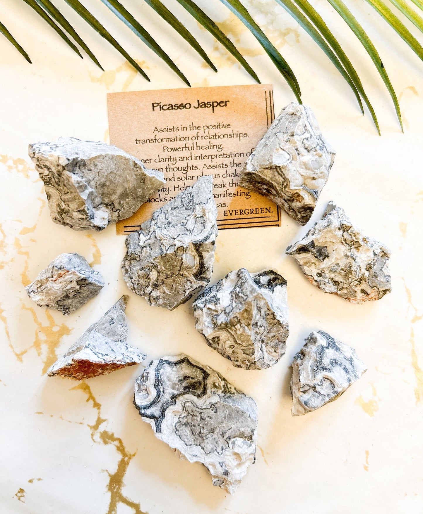 Raw / Rough Picasso Jasper Crystal - Transformation, Healing & Clarity