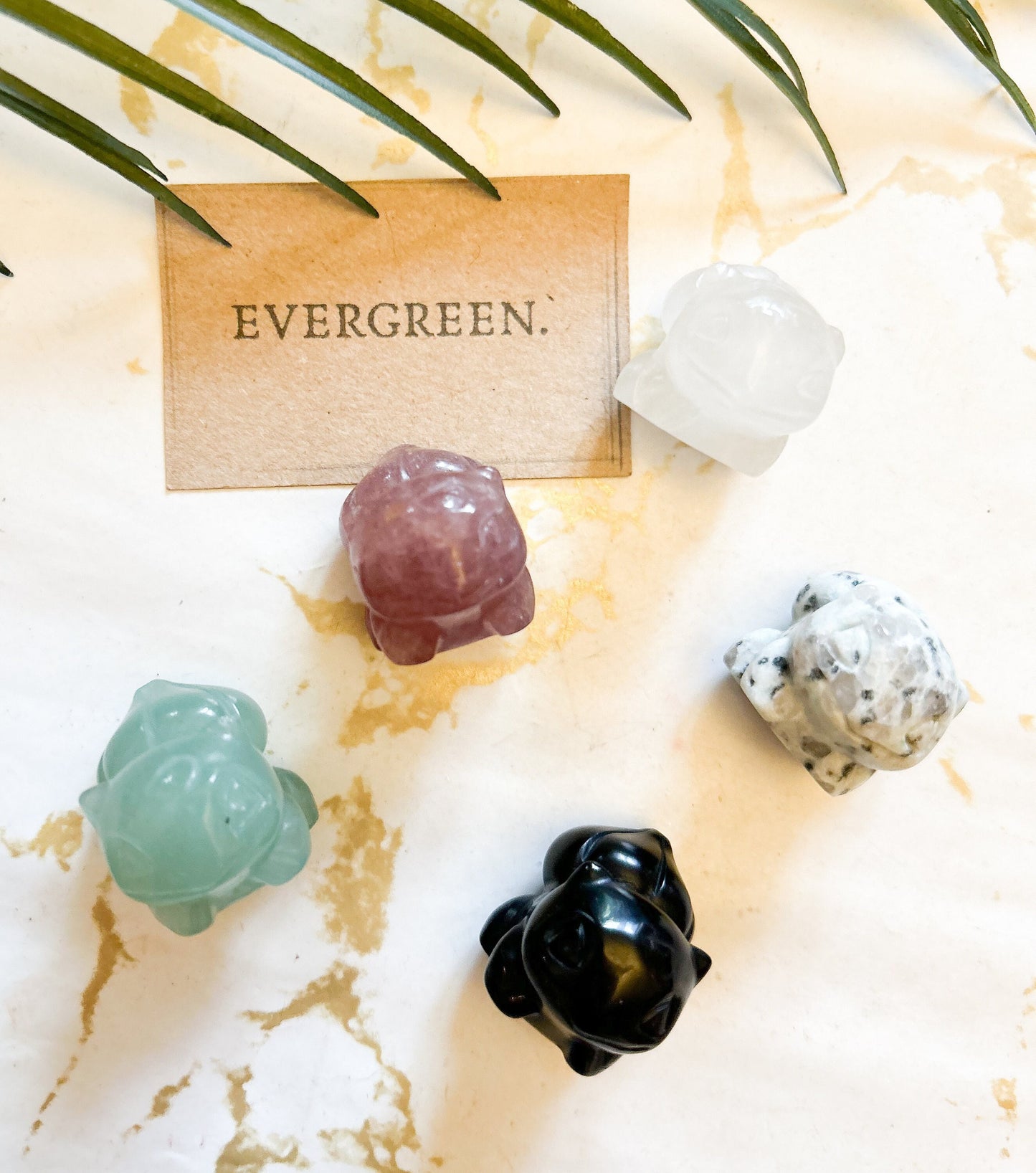 Crystal Bulbasaur Pokemon Character - Wide Variety Available!