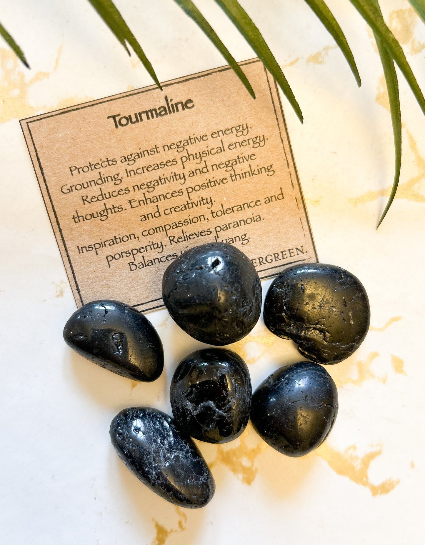 Black Tourmaline Crystal Tumbled Stone - Positivity, Grounding & Energy