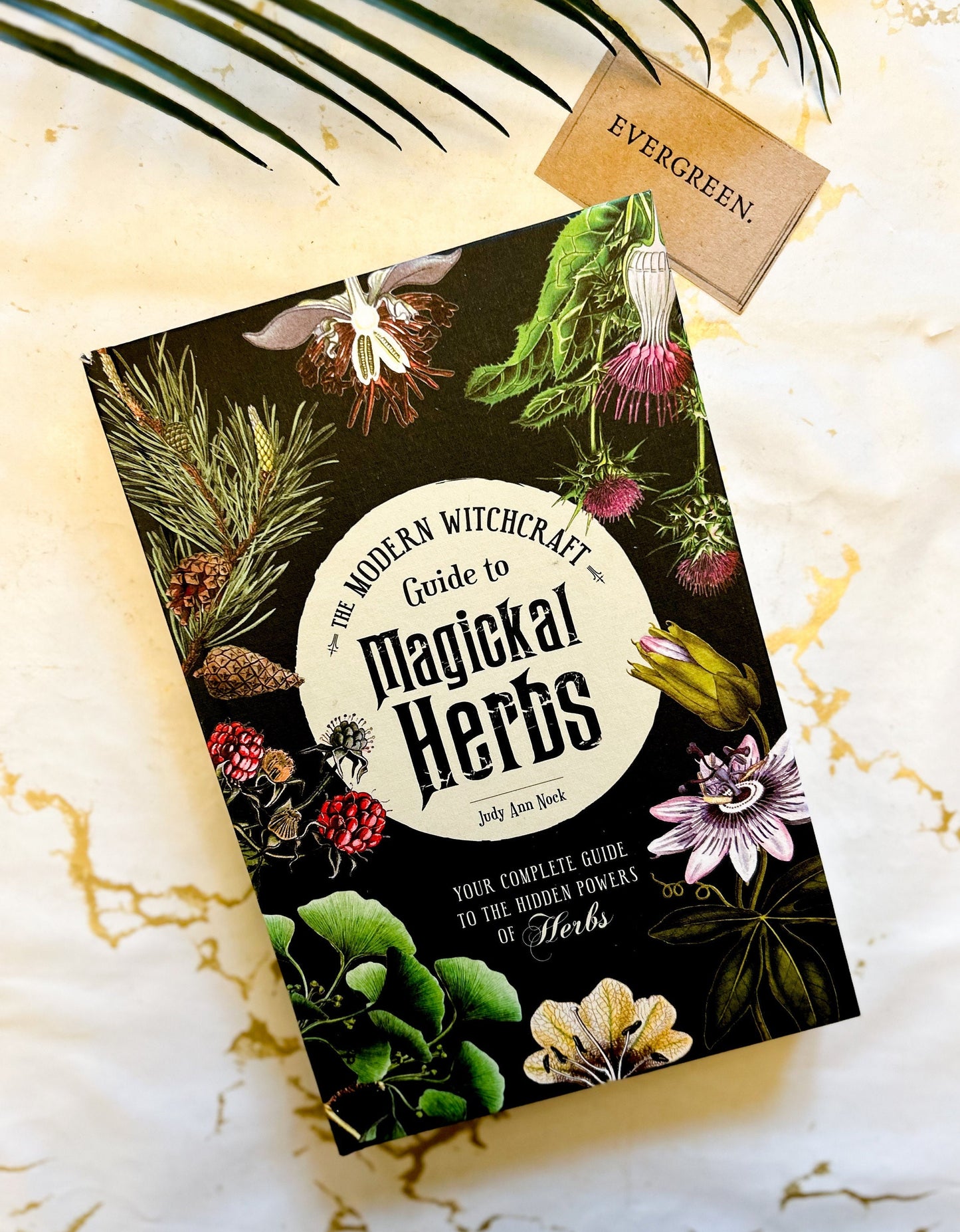 The Modern Witchcraft Guide To Magickal Herbs