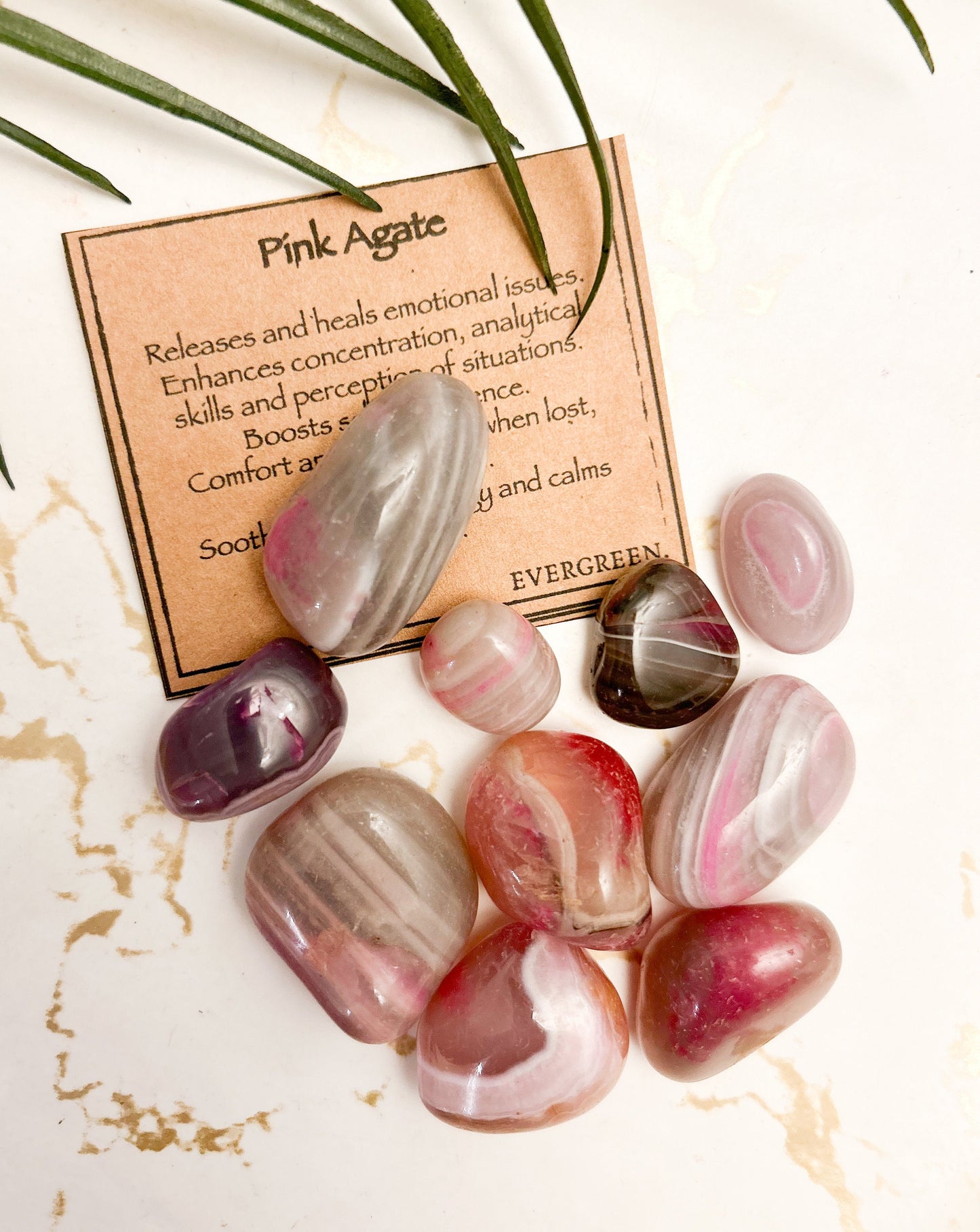Pink Agate Crystal Tumbled Stone - Healing, Concentration & Self-Confidence