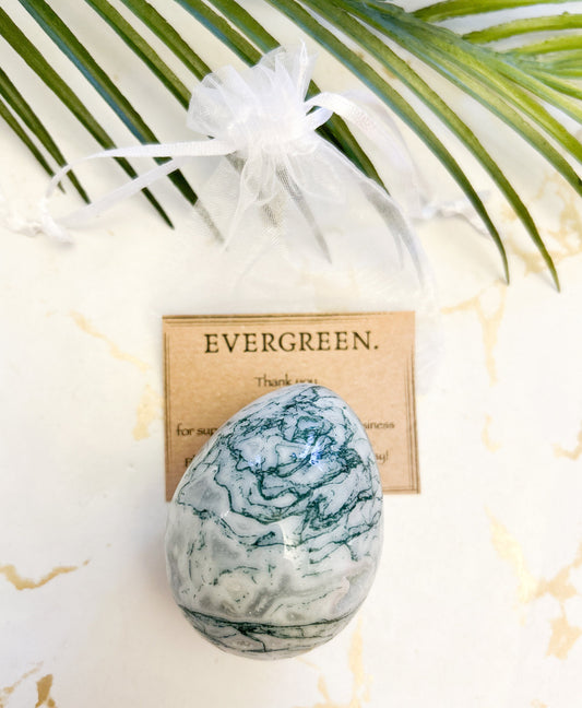 Tree Agate Crystal Druzy Egg - Grounding, Protection & Self-Expression