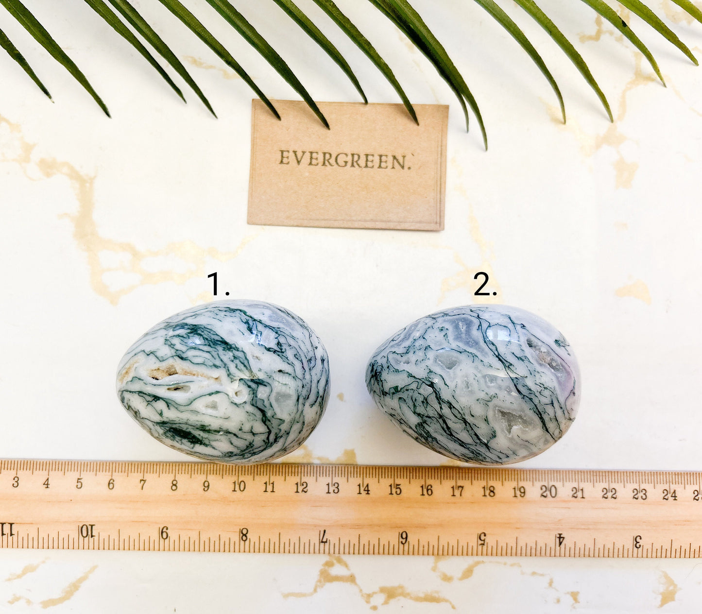 Tree Agate Crystal Druzy Egg - Grounding, Protection & Self-Expression
