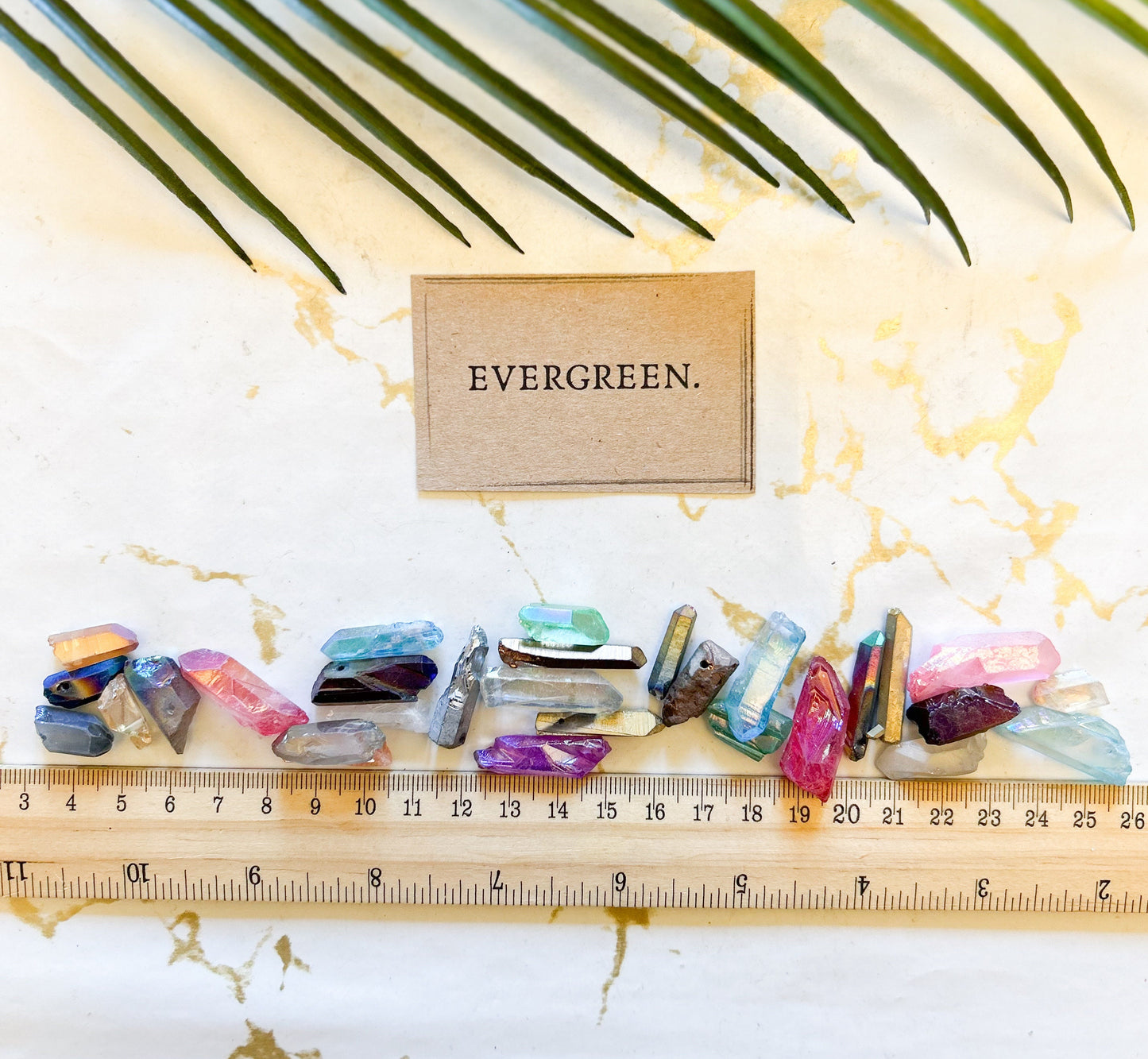 Raw / Rough Quartz Crystal Point - Wide Variety Available!
