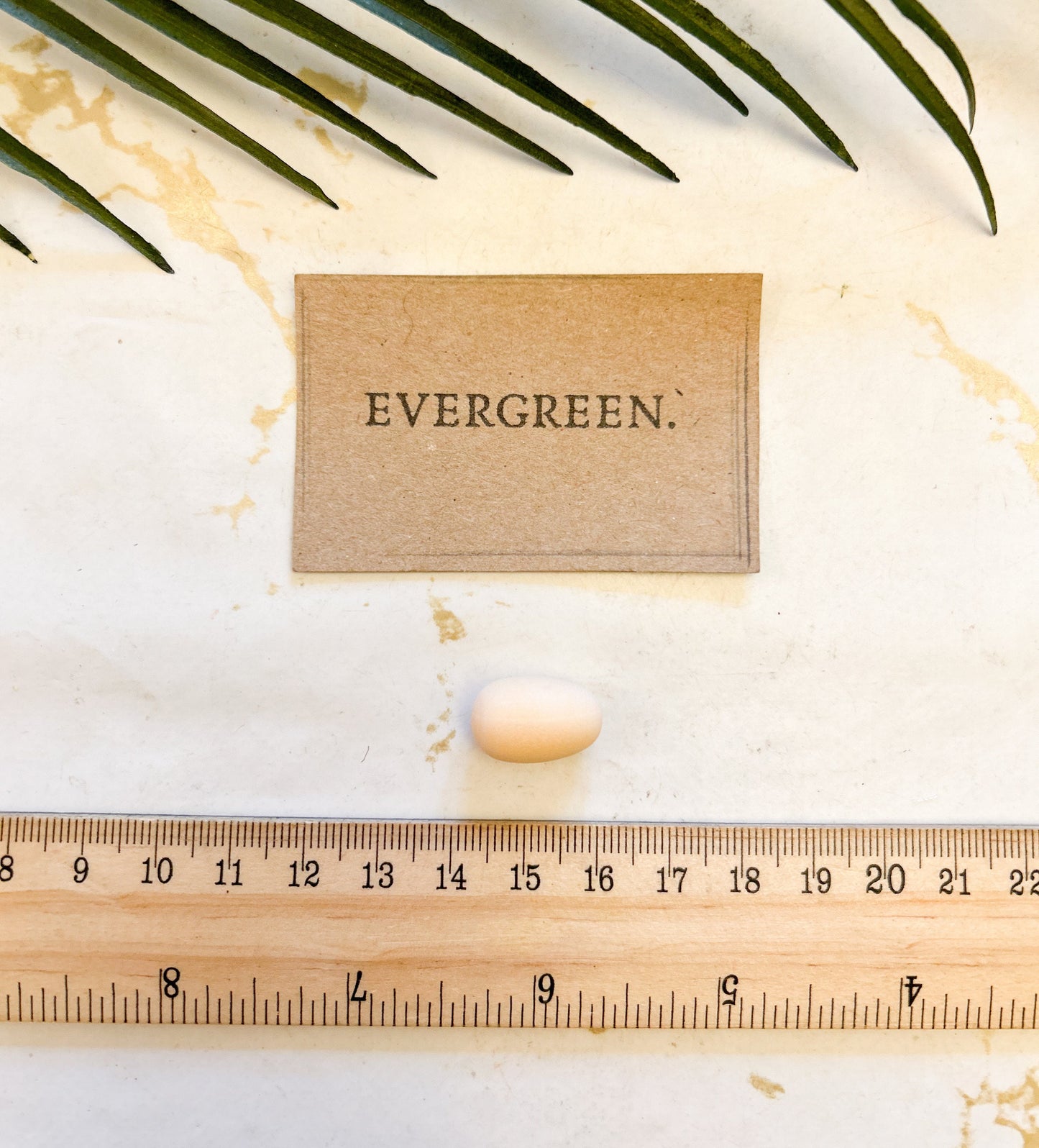 Wooden Unpainted Craft Egg - Easter / Chicken / Garden