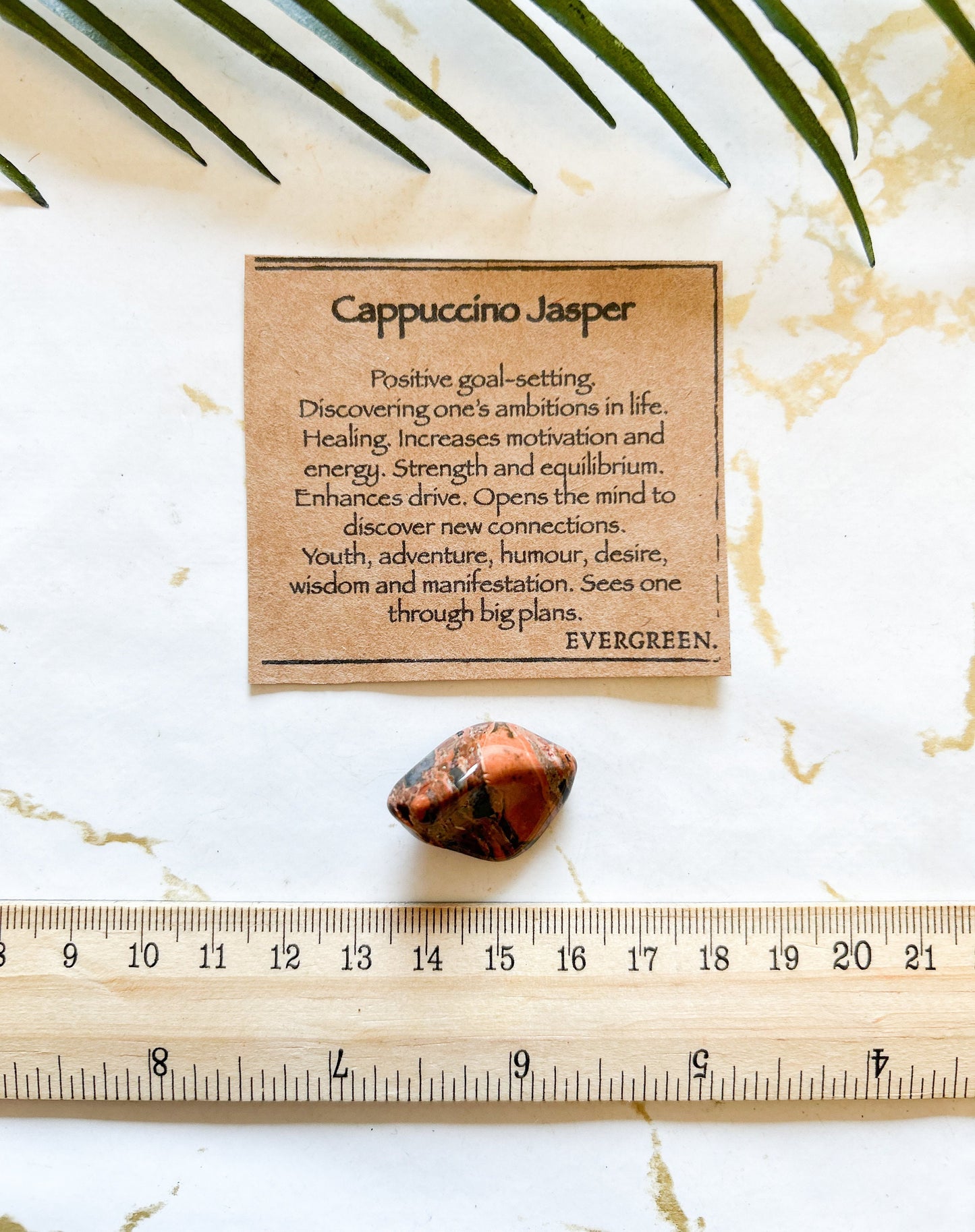 Cappuccino Jasper Crystal Tumbled Stone - Ambition, Healing & Equilibrium
