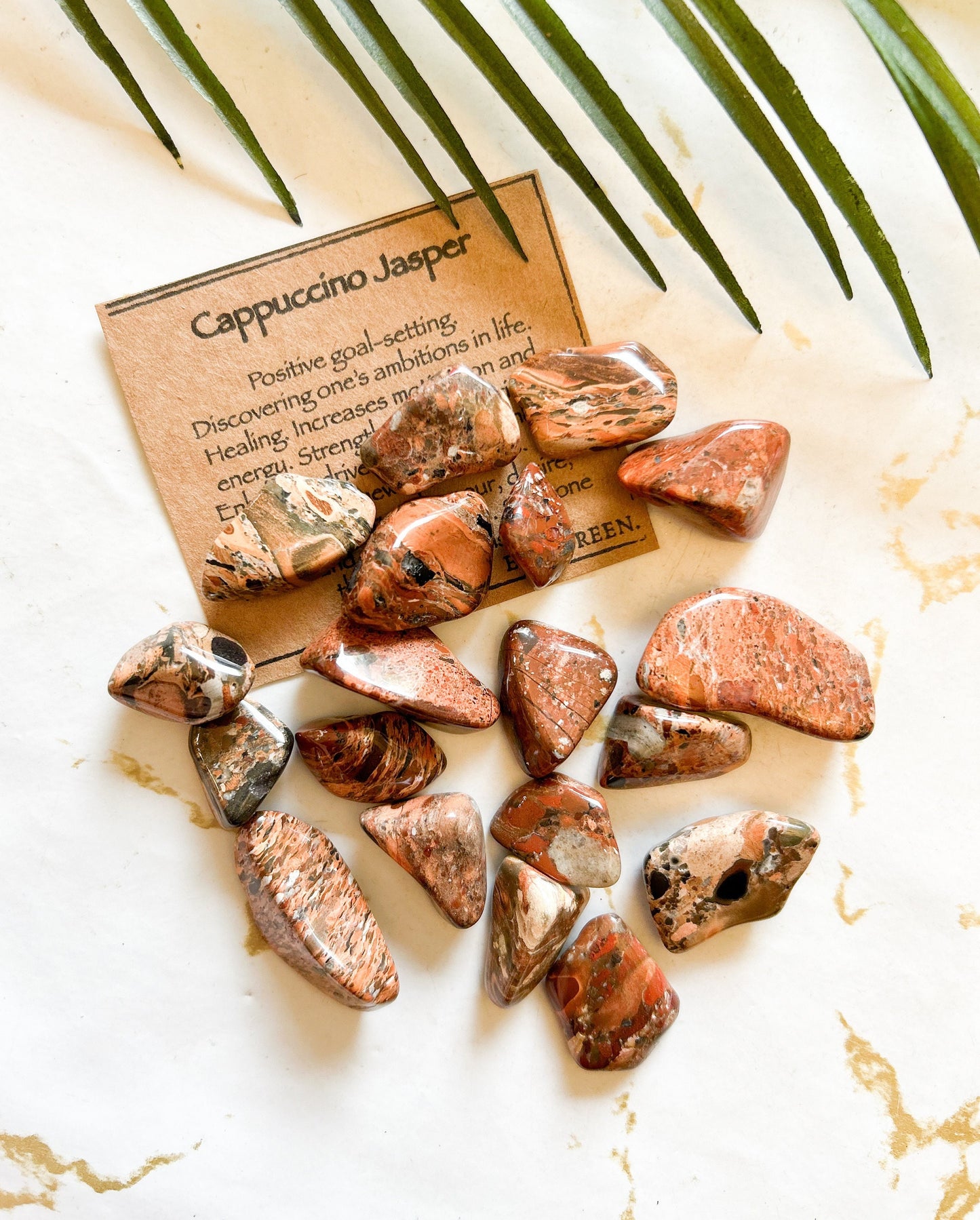 Cappuccino Jasper Crystal Tumbled Stone - Ambition, Healing & Equilibrium