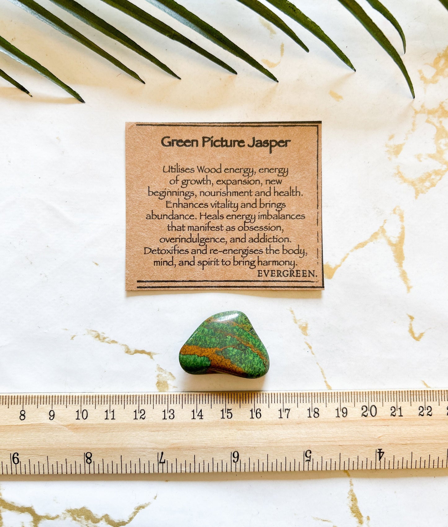 Green Picture Jasper Crystal Tumbled Stone - Growth, Vitality & New Beginnings