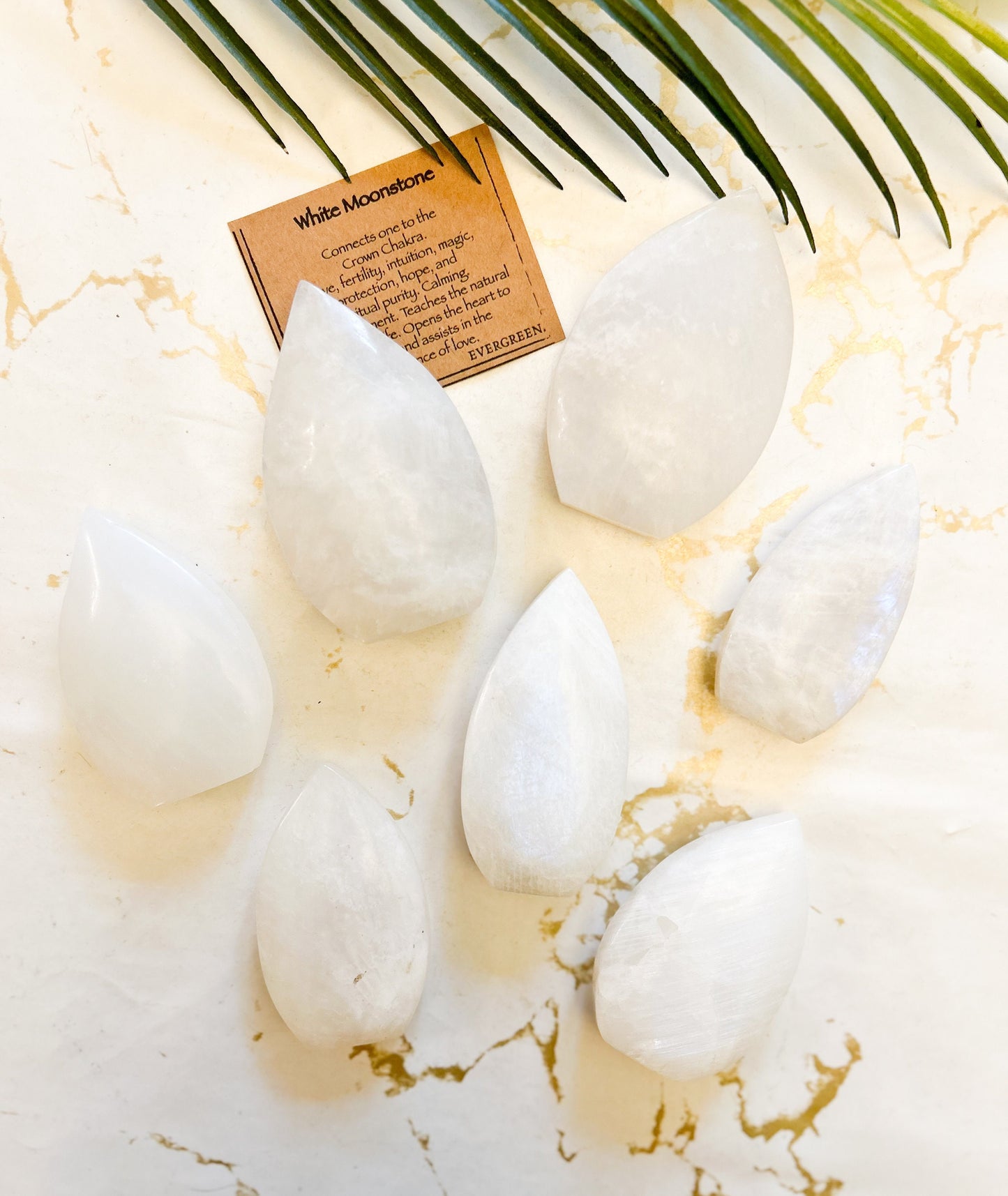 White Moonstone Crystal Point / Flame - Love, Fertility & Intuition