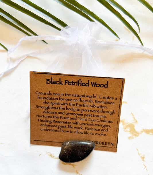 Black petrified Wood Crystal Tumbled Stone - Grounding, Strength & Patience