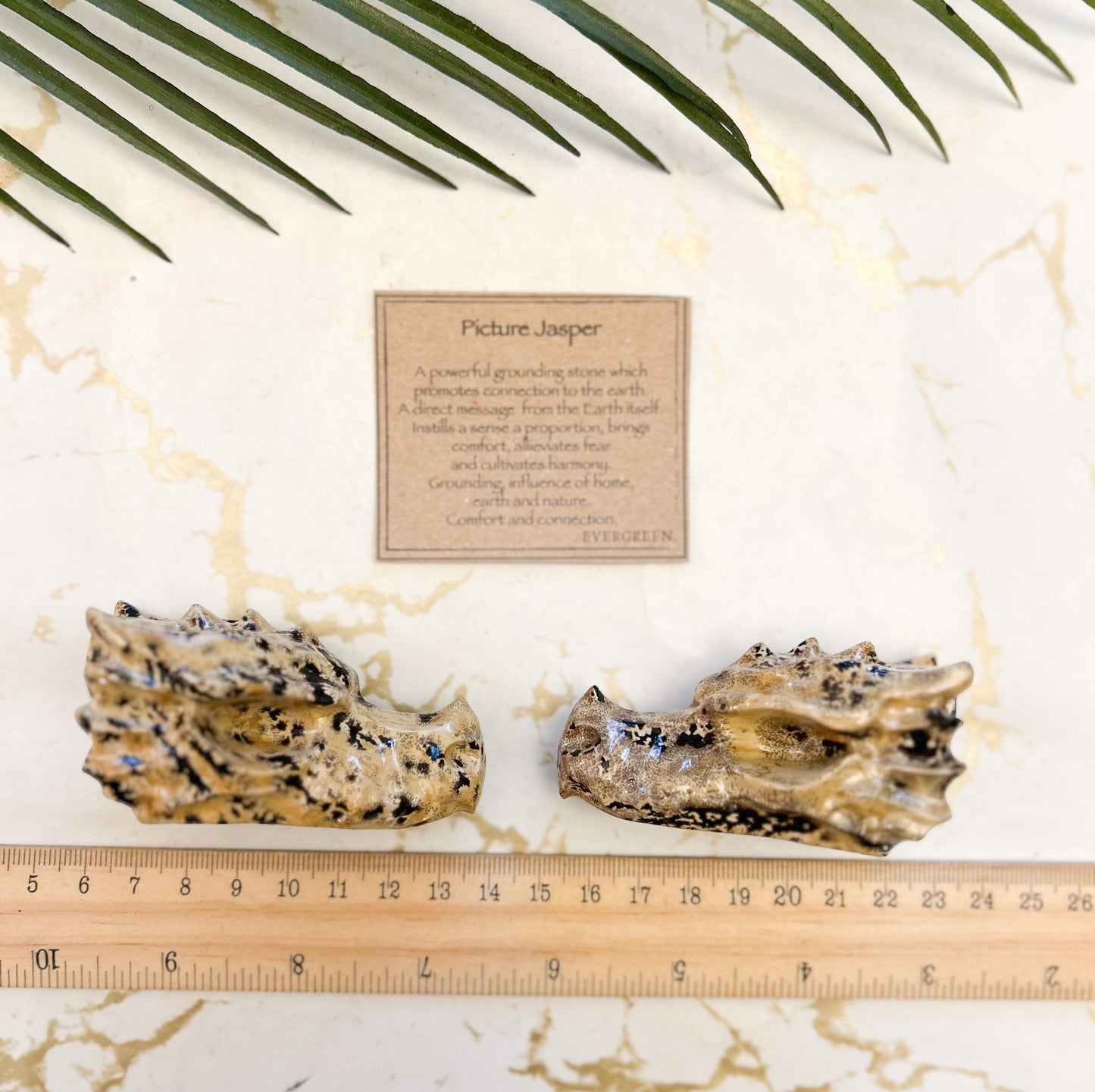 Picture Jasper Crystal Dragon Skull Carving - Grounding, Comfort & Connection